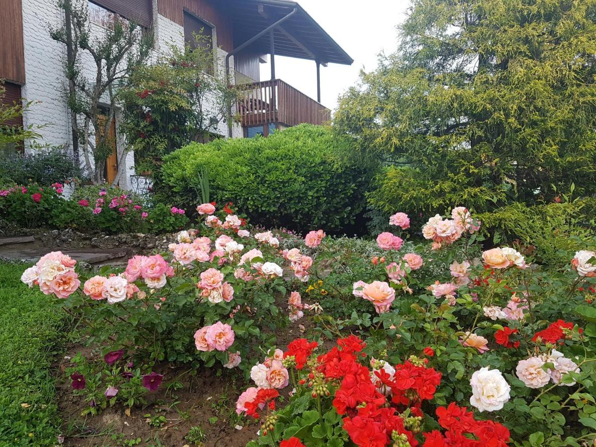 B&B Fontanella Curno Buitenkant foto